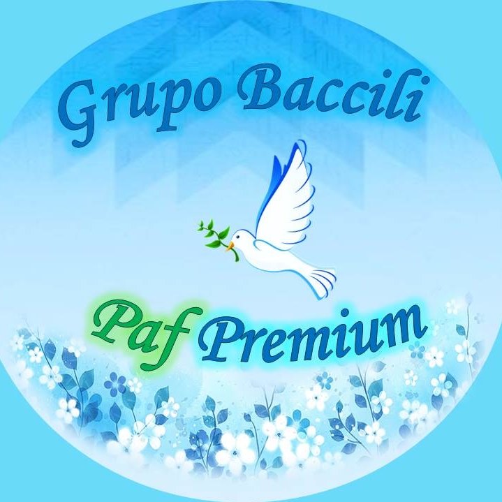 Logo Grupo Paf Baccili
