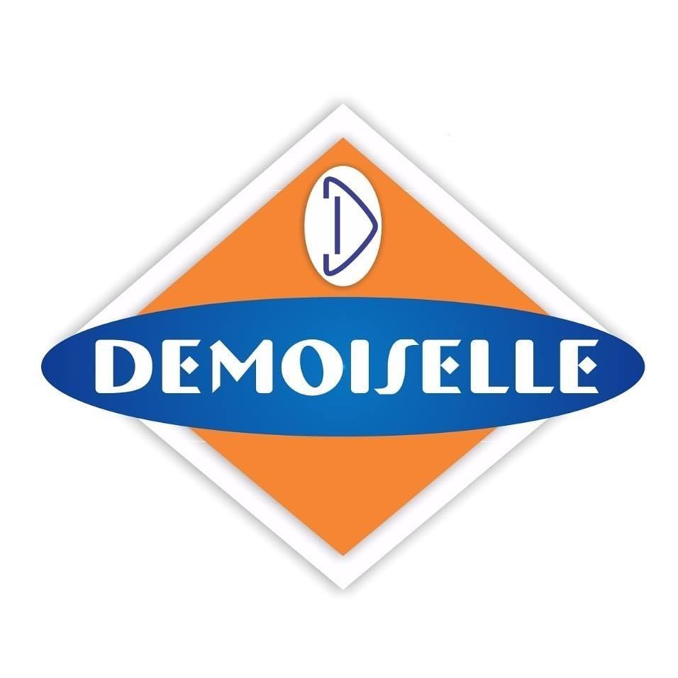 Logo Loja Demoiselle