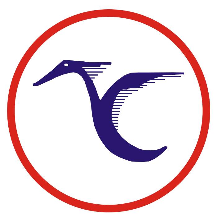 Logo Calviptur Turismo