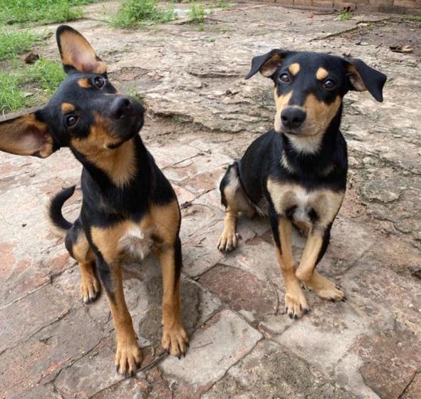 Bibi e Bianca