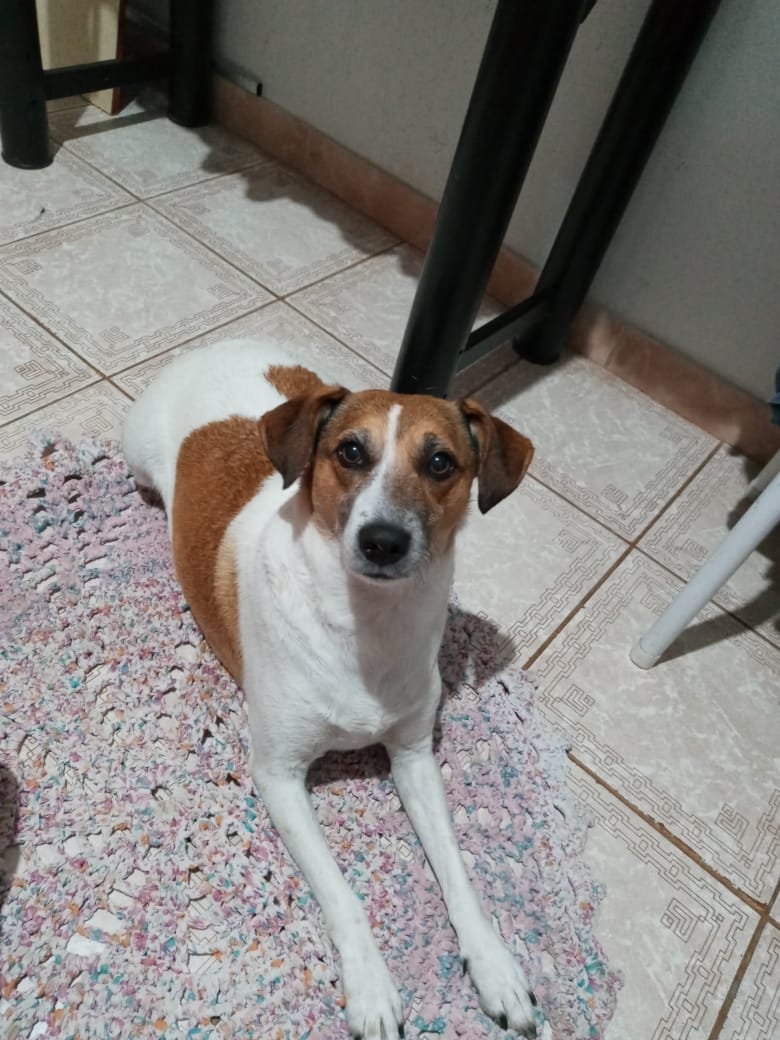 Mel