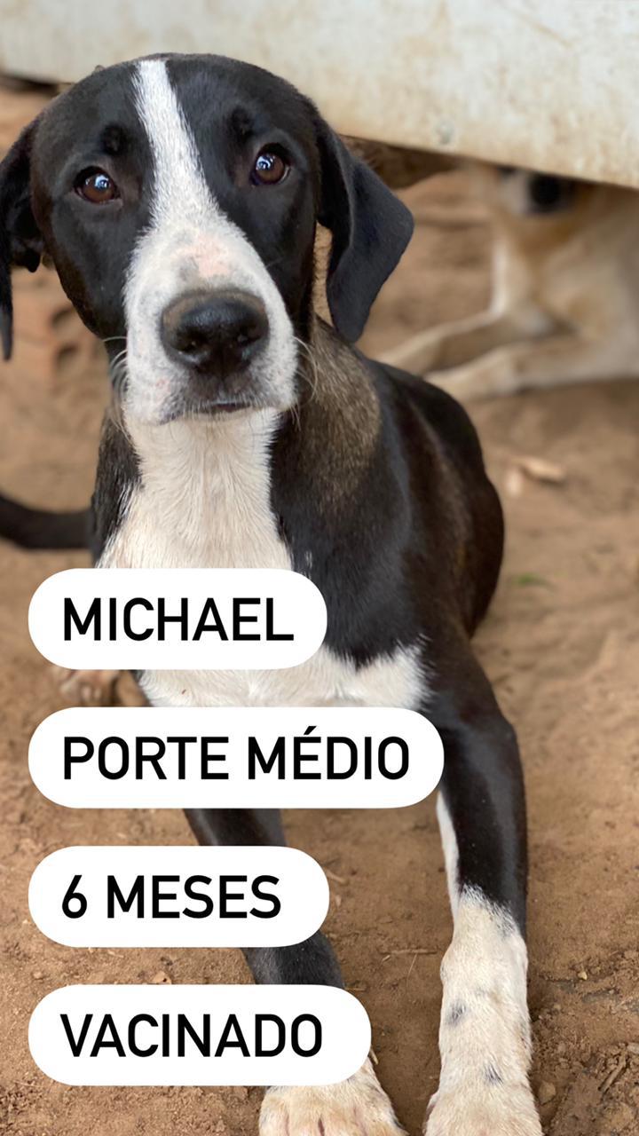 Michael