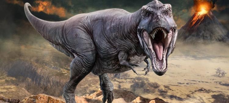Você conseguiria correr mais rápido que um Tiranossauro Rex?