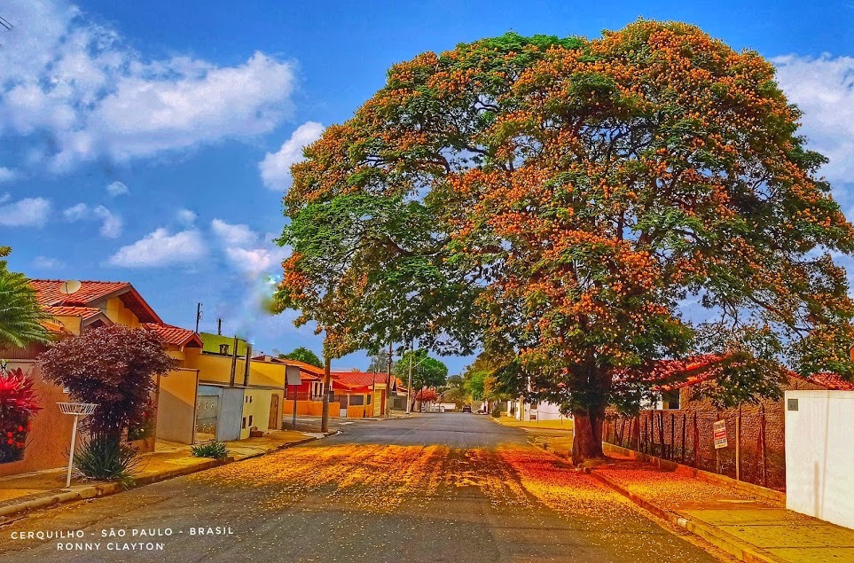 Imagem reflexão