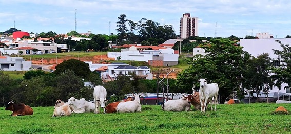 História da Foto. Parte II